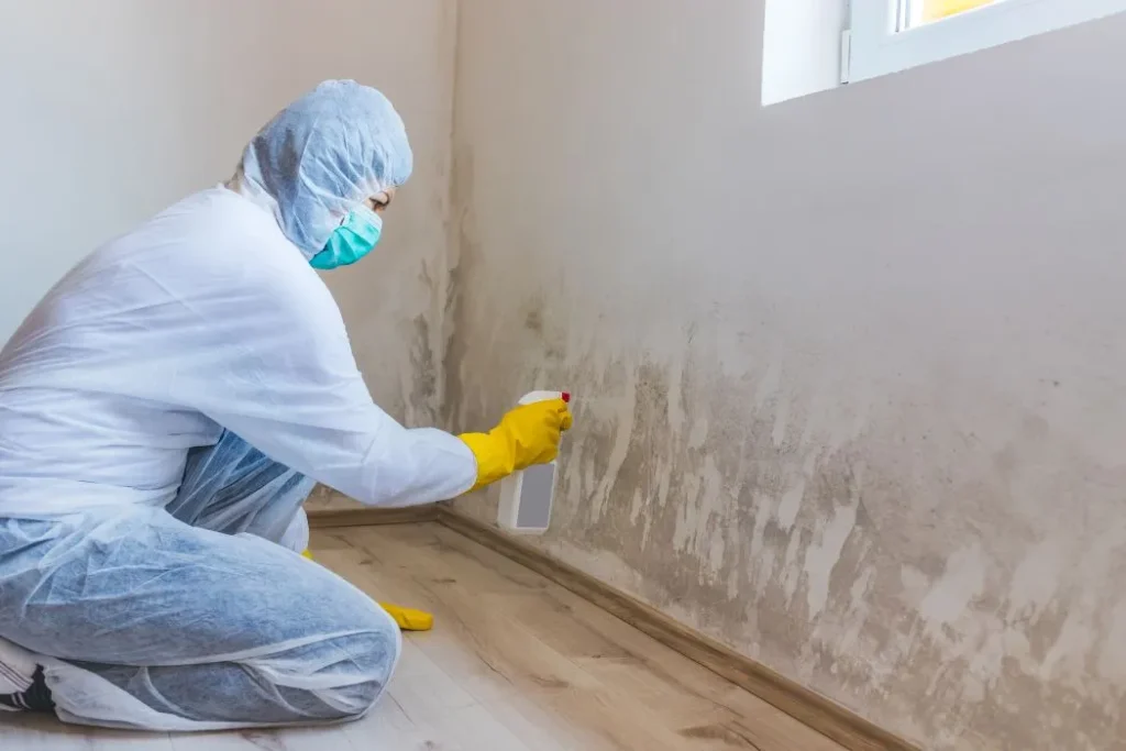 atlanta mold inspections